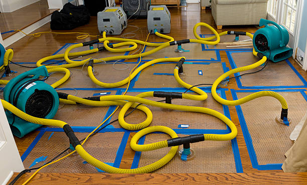 Professional Burst Pipe Water Damage technician working in Creston, OH