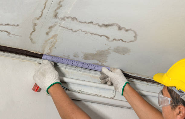 Affordable Burst Pipe Water Damage solutions in Creston, OH